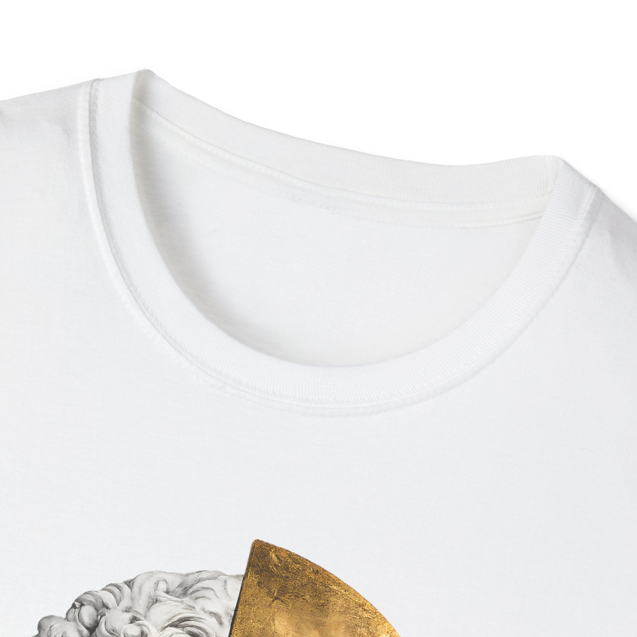 Divided Sovereignty T-shirt