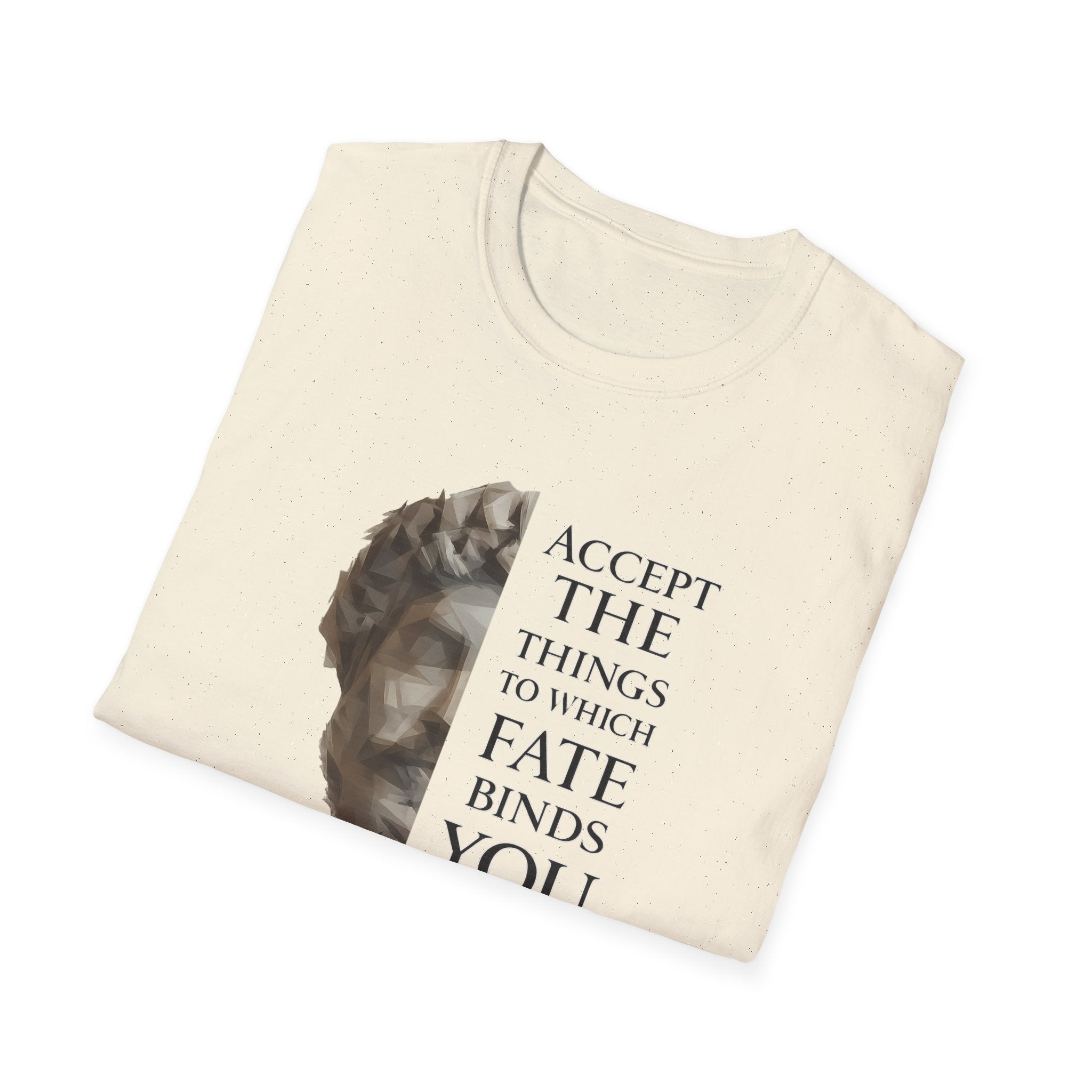 Aurelius Fate Binds T-shirt