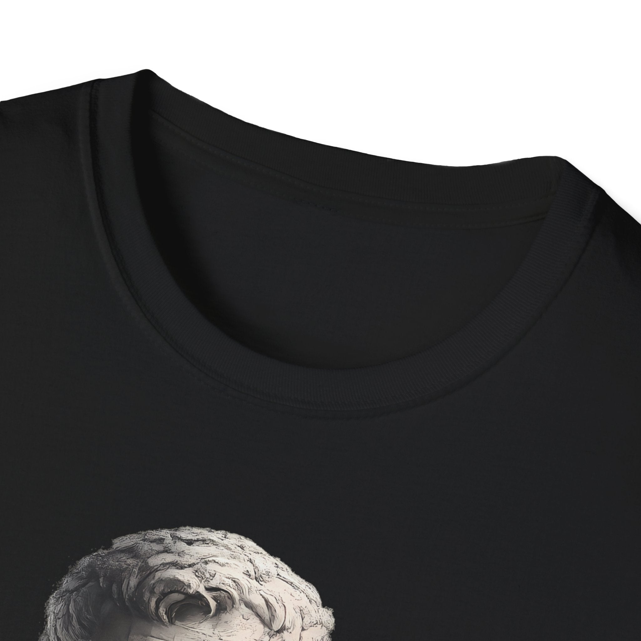 Epictetus Bear and Forebear T-shirt