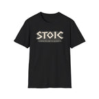 Stoic Runes T-shirt