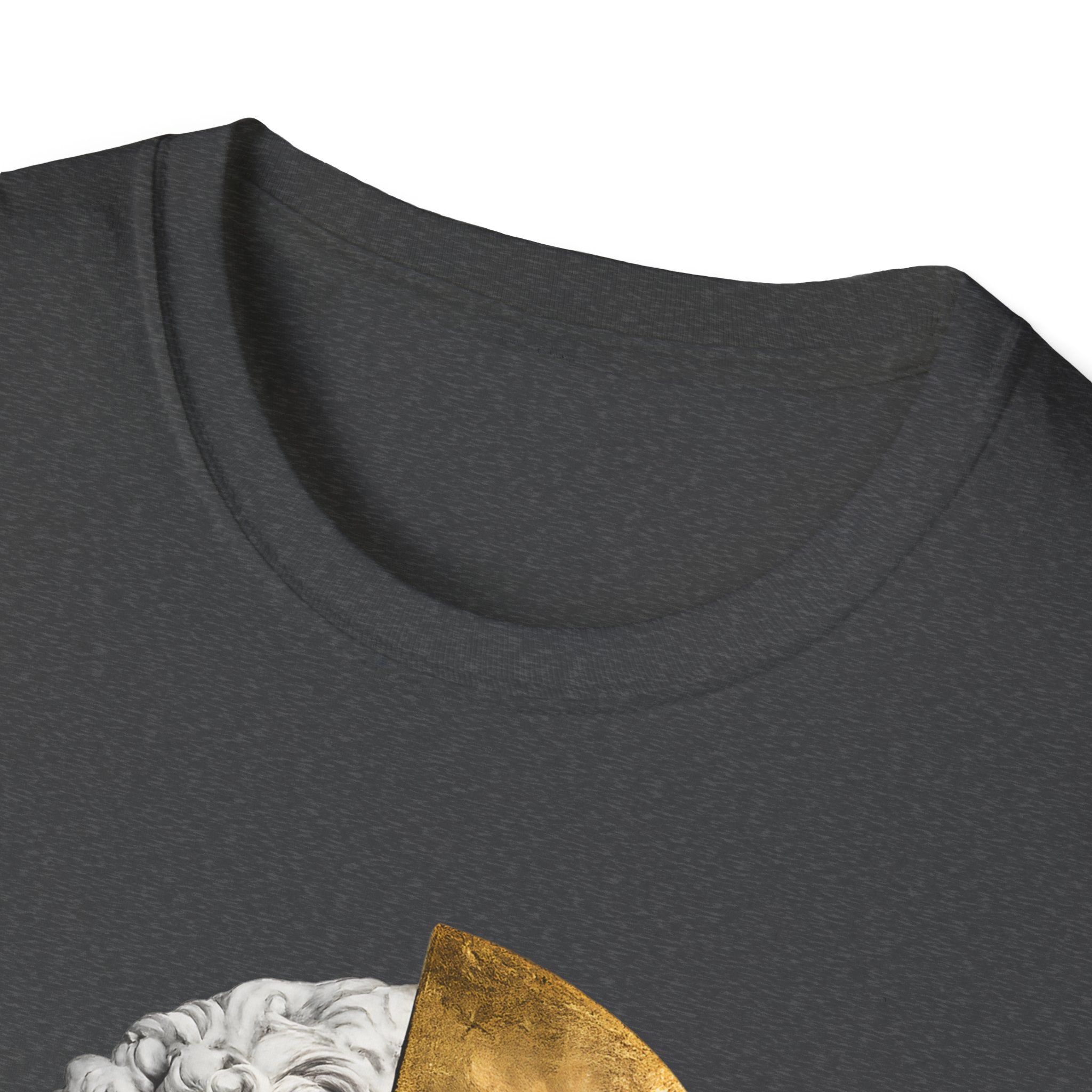 Divided Sovereignty T-shirt