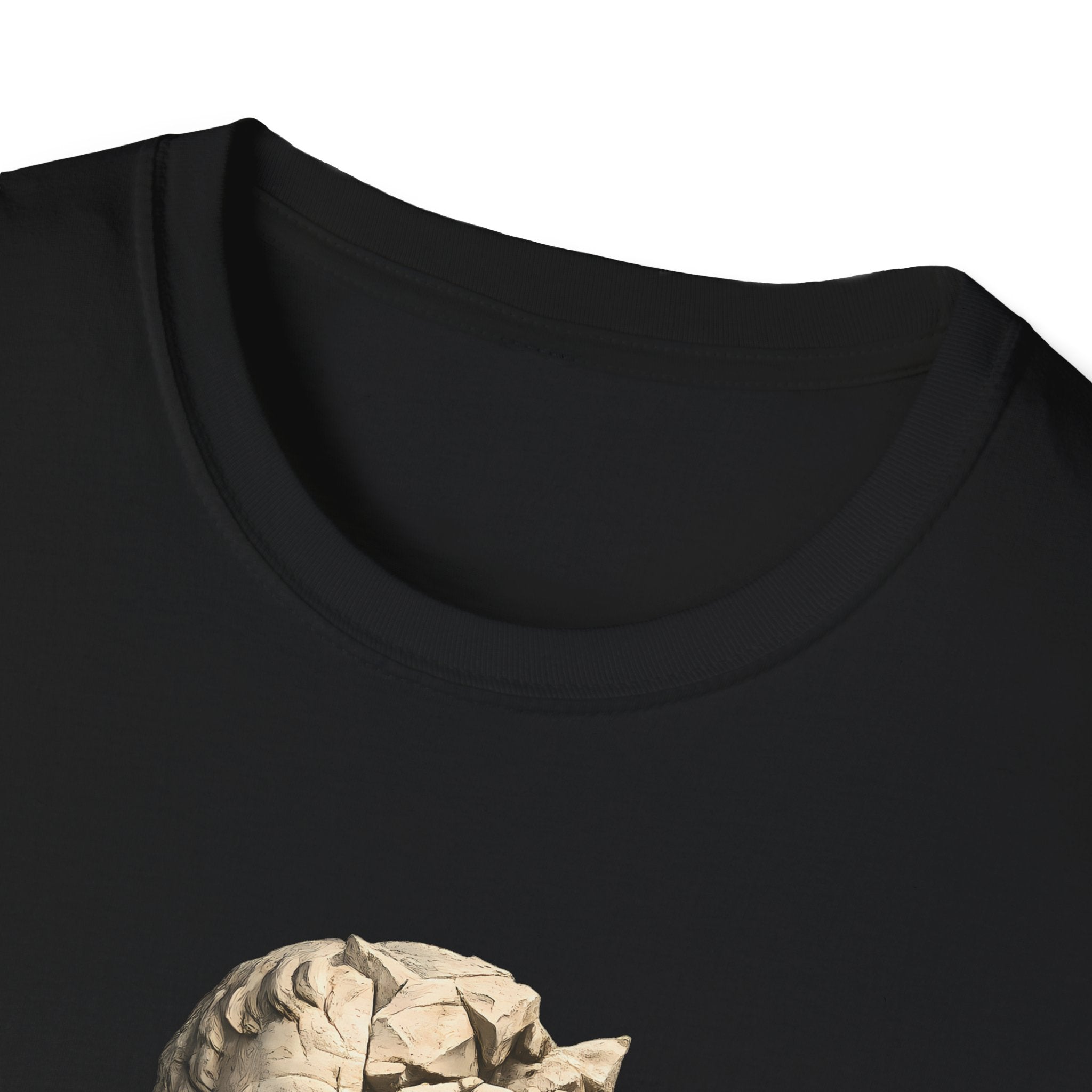 Seneca's Fracture T-shirt