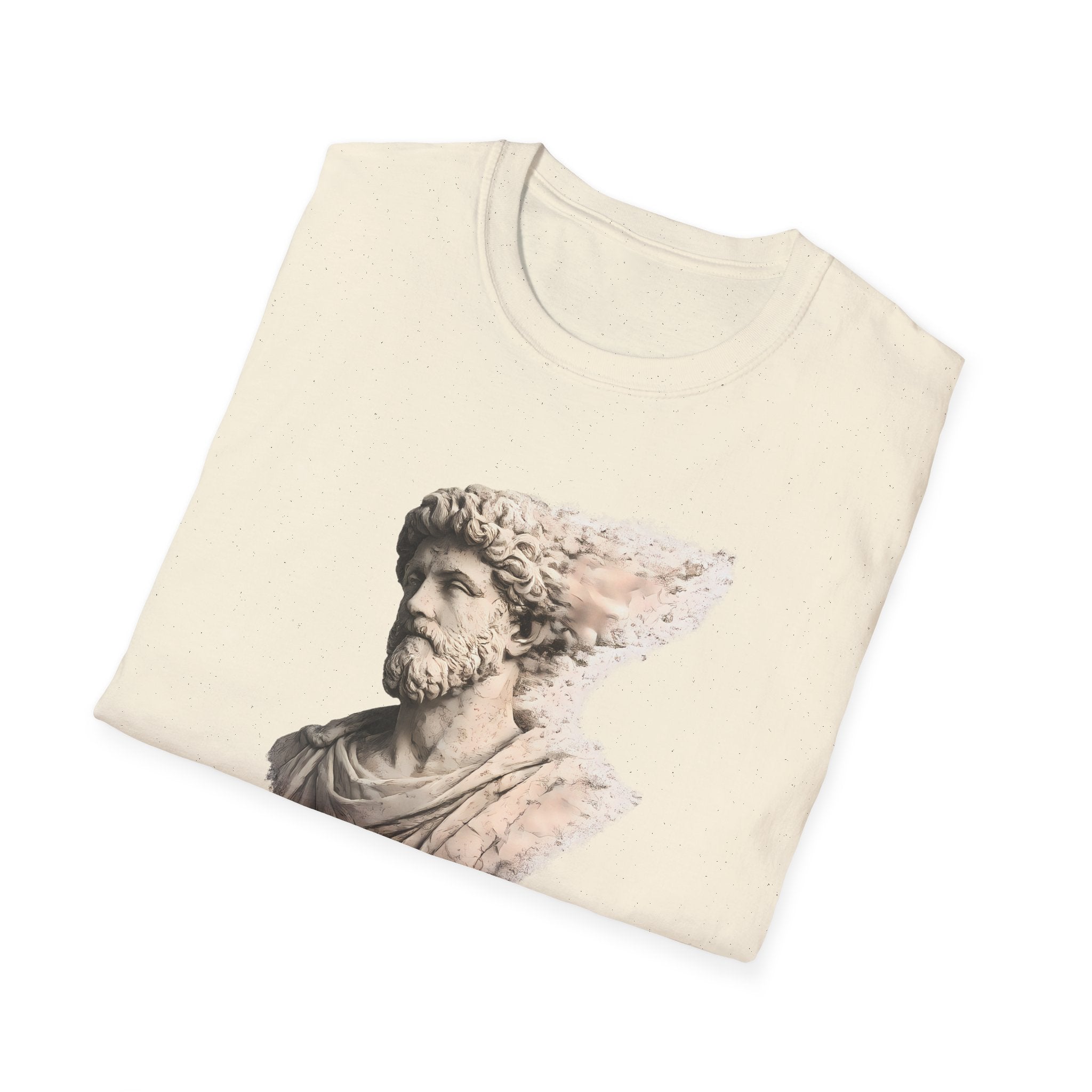 Aurelius' Current T-shirt