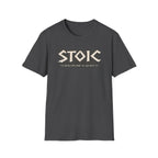Stoic Runes T-shirt