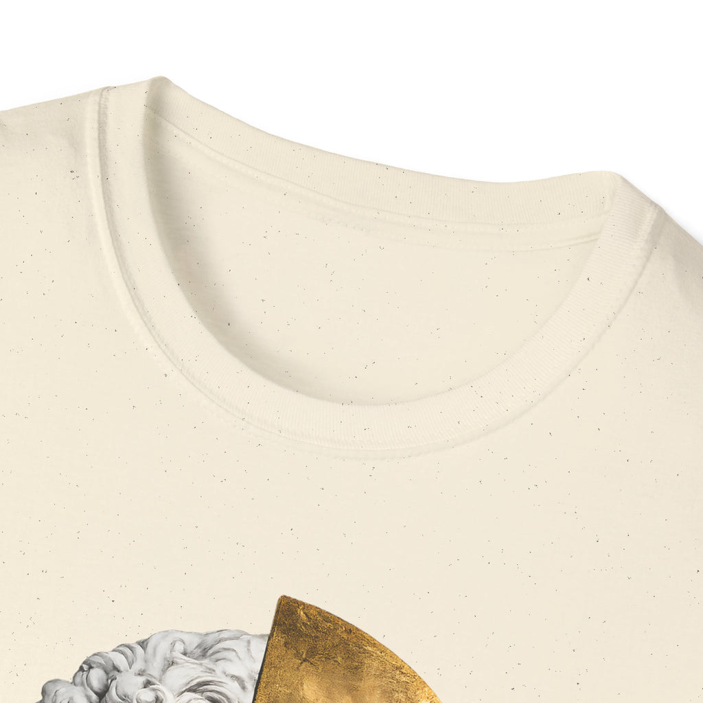 Divided Sovereignty T-shirt